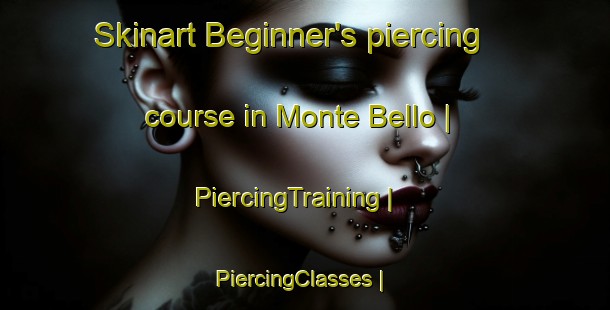 Skinart Beginner's piercing course in Monte Bello | PiercingTraining | PiercingClasses | SkinartTraining-United States